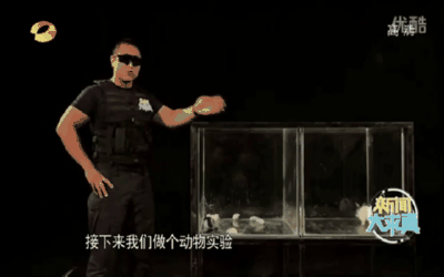 微信圖片_20171019094600.gif