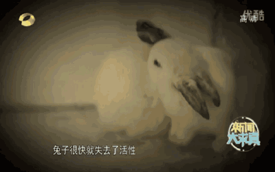 微信圖片_20171019094618.gif